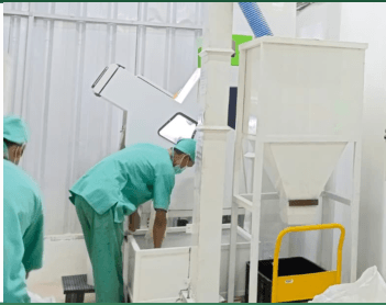 Rice sorting process